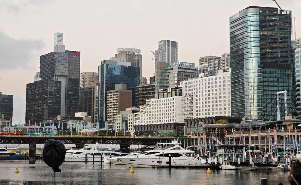 悉尼海港与城市建筑